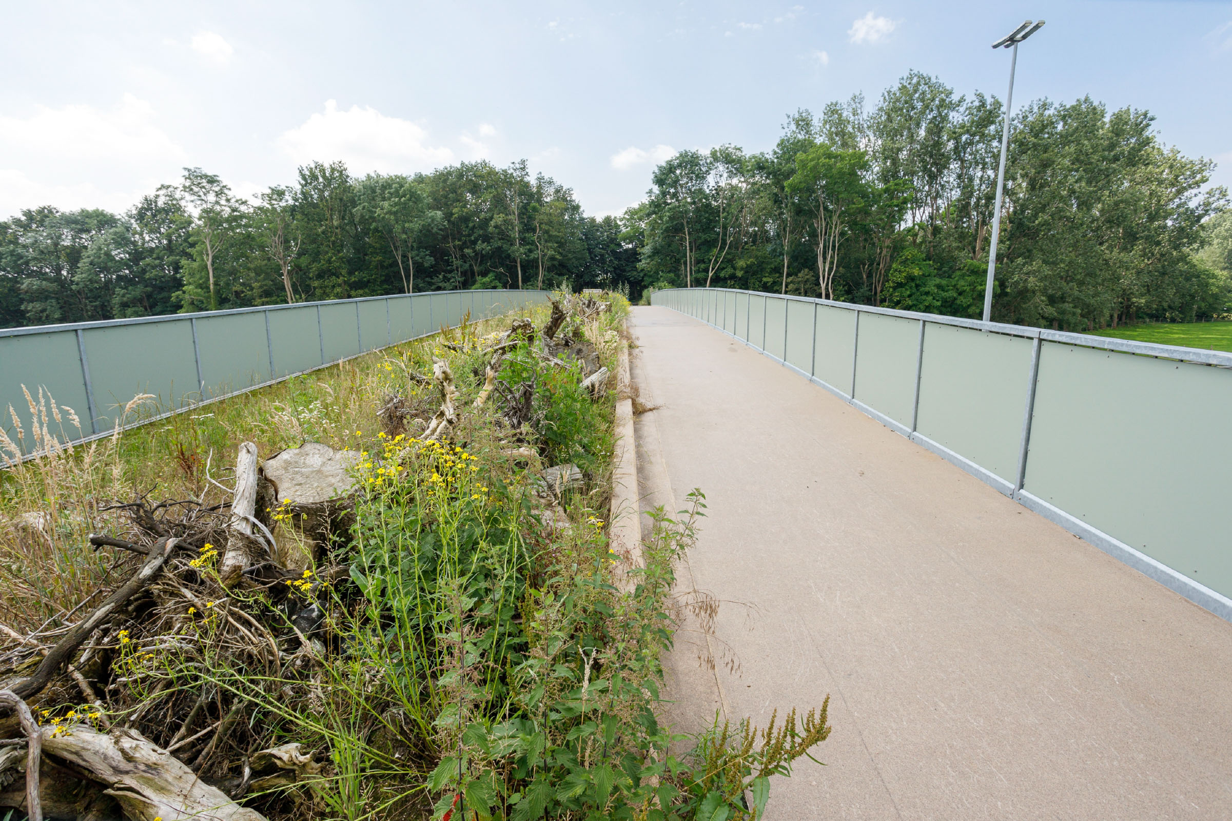 Natuurintensief_bouwen_is_een_must_Ecoveloduct_Nevele_ecoduct_fietsbrug.jpg