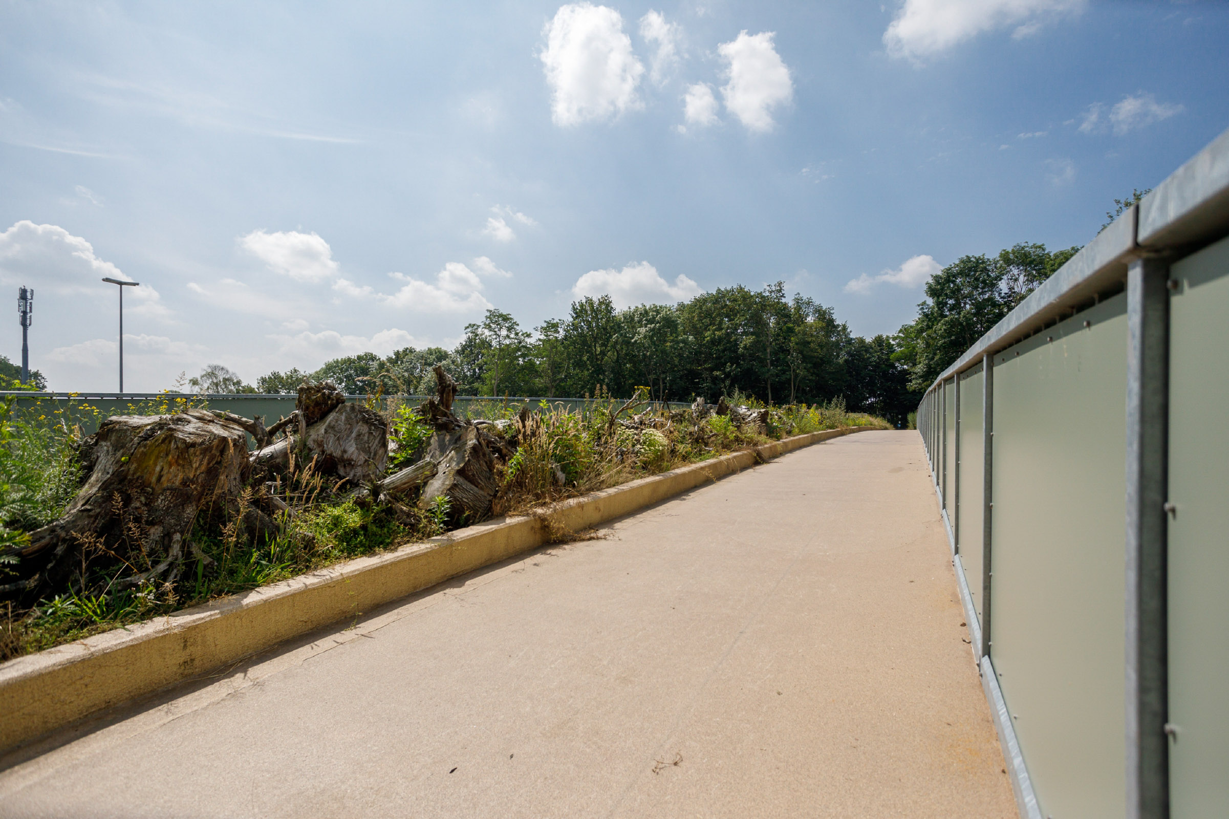 Natuurintensief_bouwen_is_een_must_Ecoveloduct_Nevele_fietsbrug_ecoduct.jpg