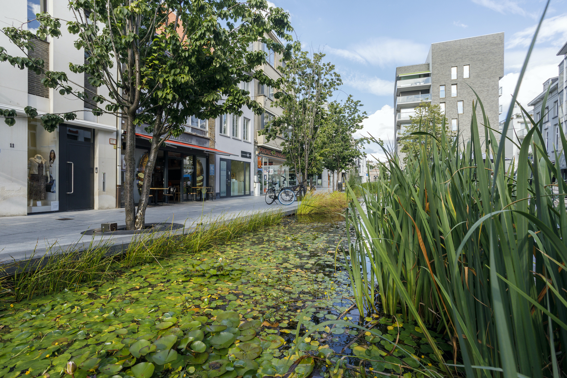 Vlietenproject Mechelen